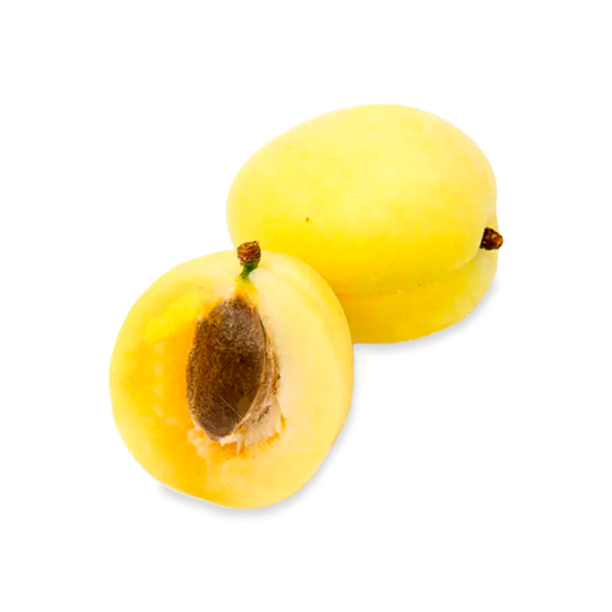Pakistani Fresh Apricoat White