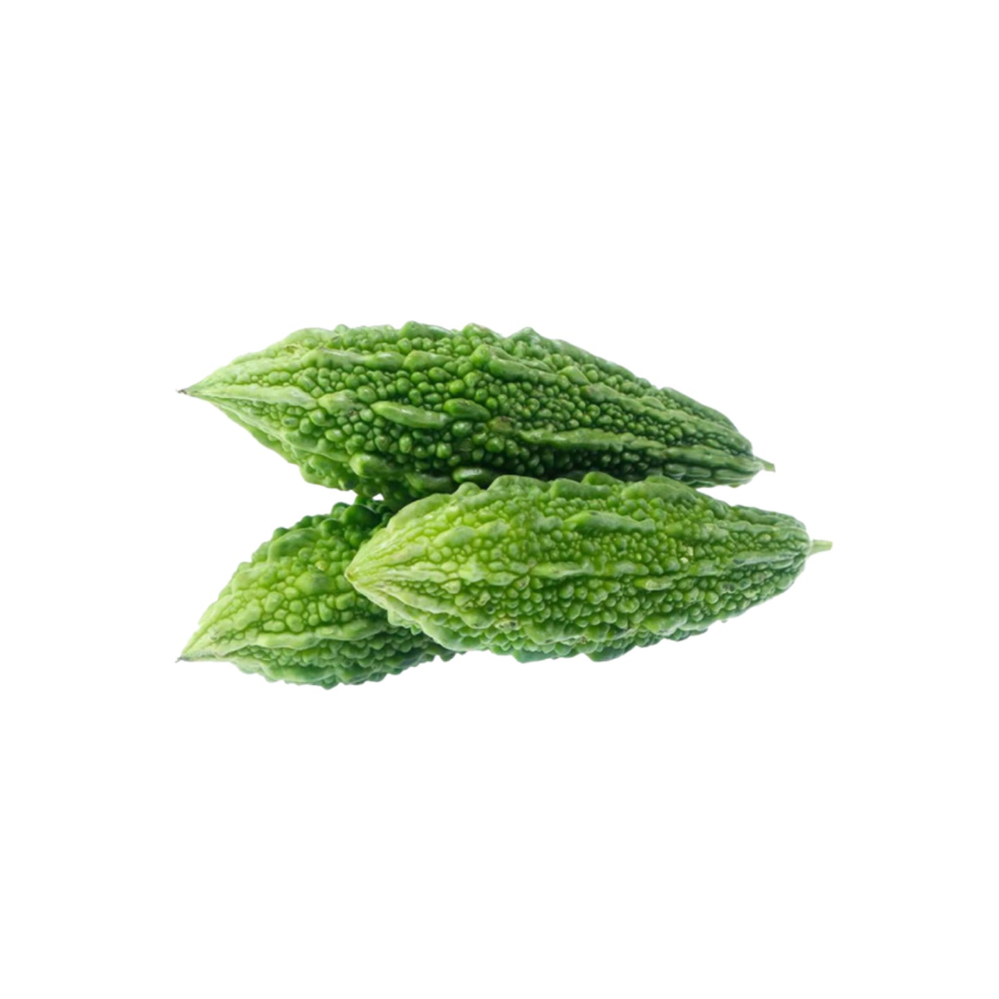 Pakistani Fresh Bitter Gourd,