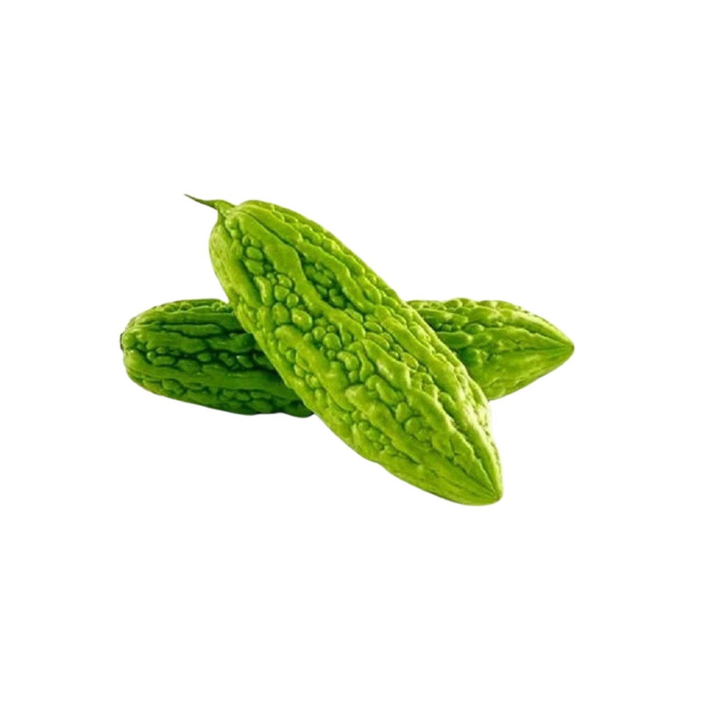 Pakistani Fresh Bitter Gourd,