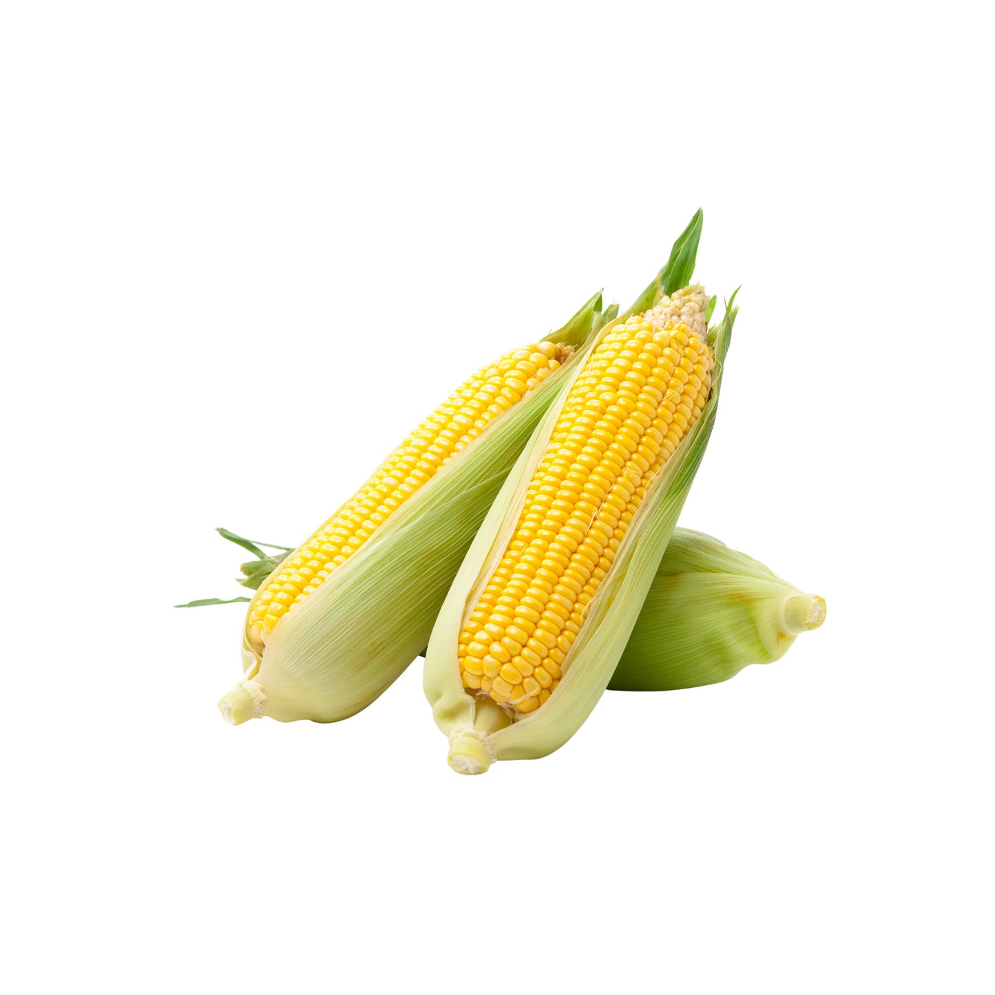 Pakistani Fresh Corn (Makai/ Bhuta)