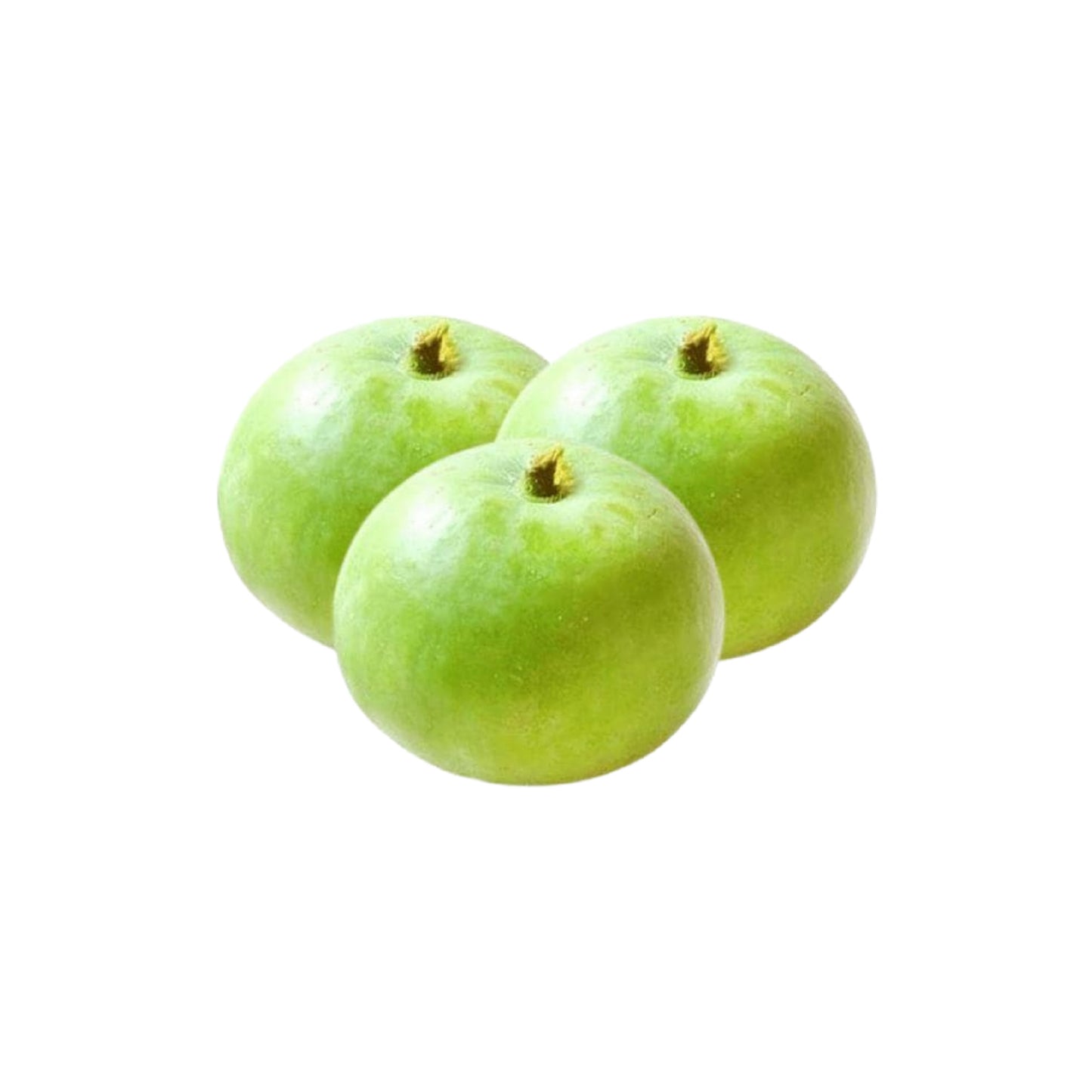 Pakistani Fresh Roundgourd