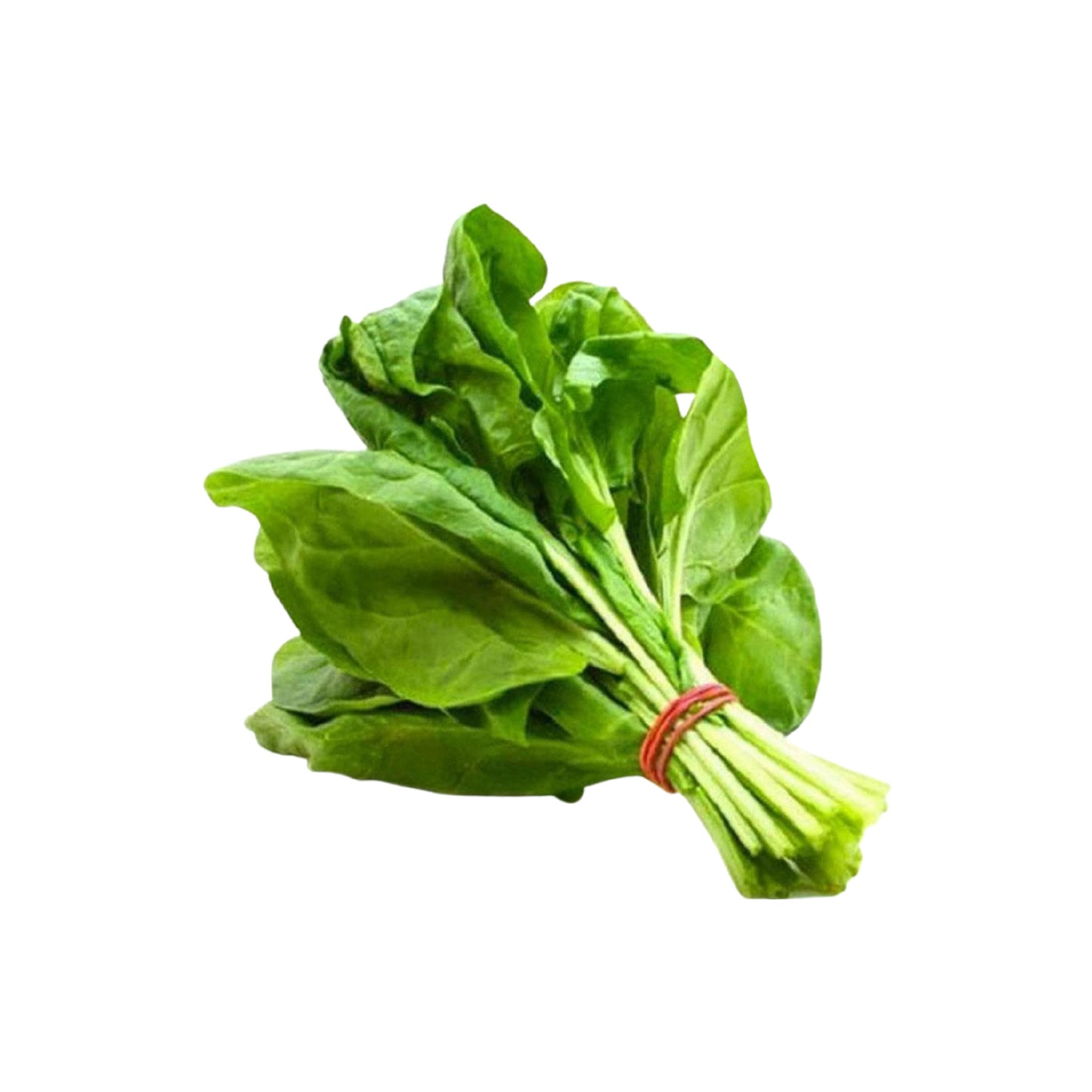 Pakistani Fresh Palak