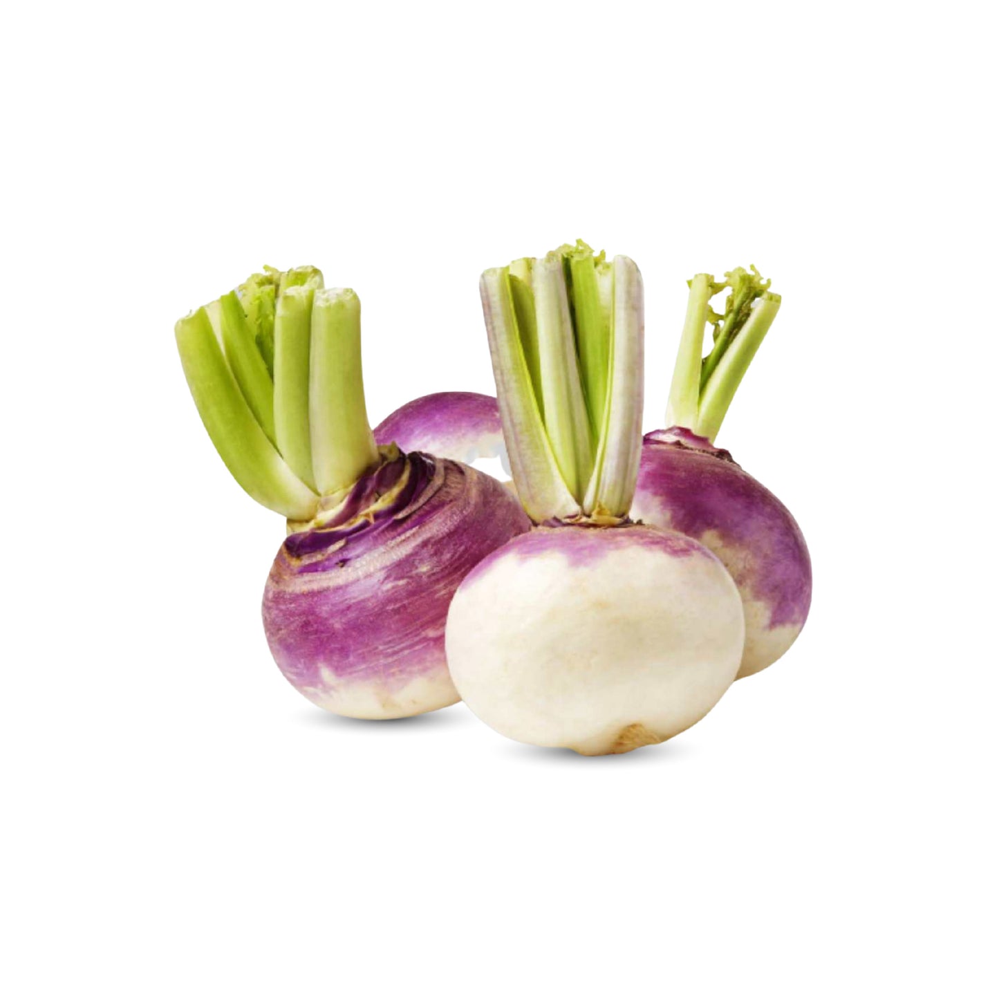 Pakistani Fresh Turnip White (Shaljam)