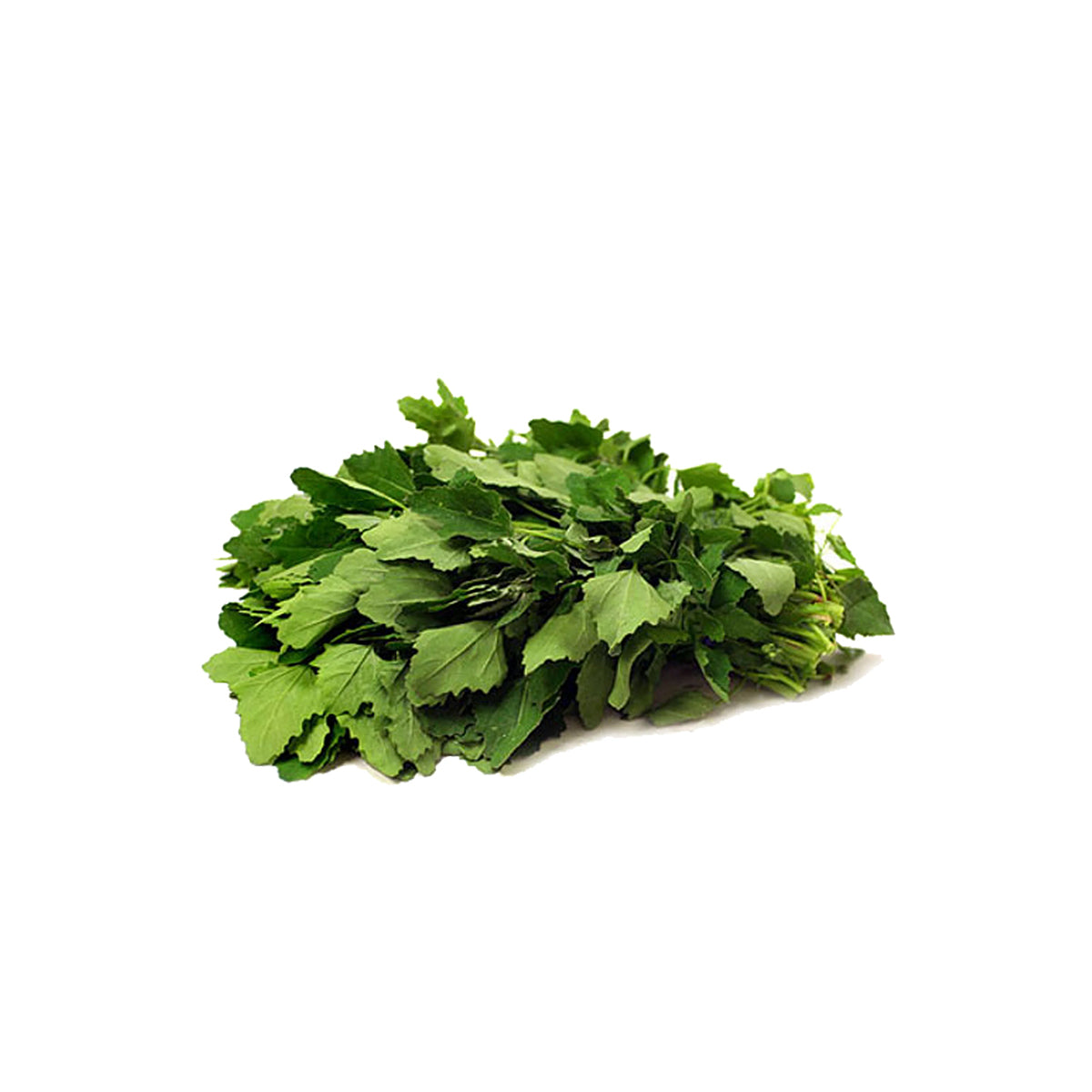Pakistani Fresh Bathu (White Goosefoot)