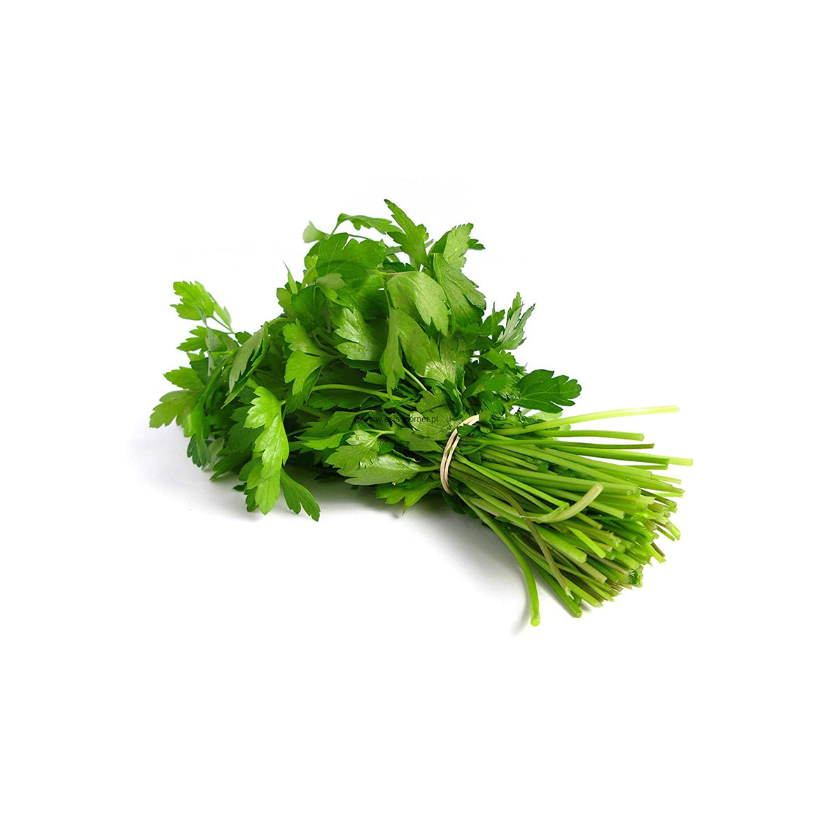 Pakistani Fresh Corriander (Danya)