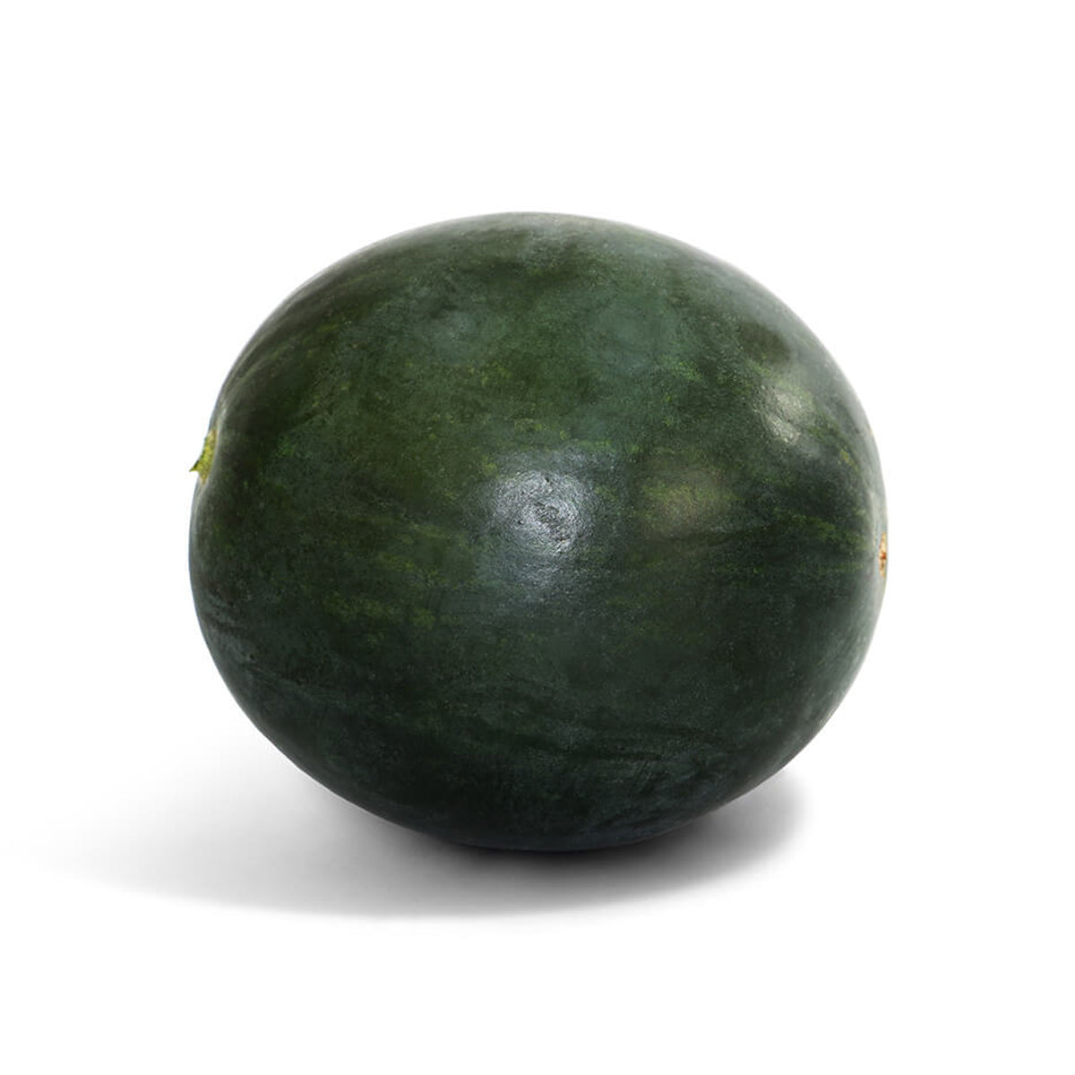 Pakistani Fresh Water Melon