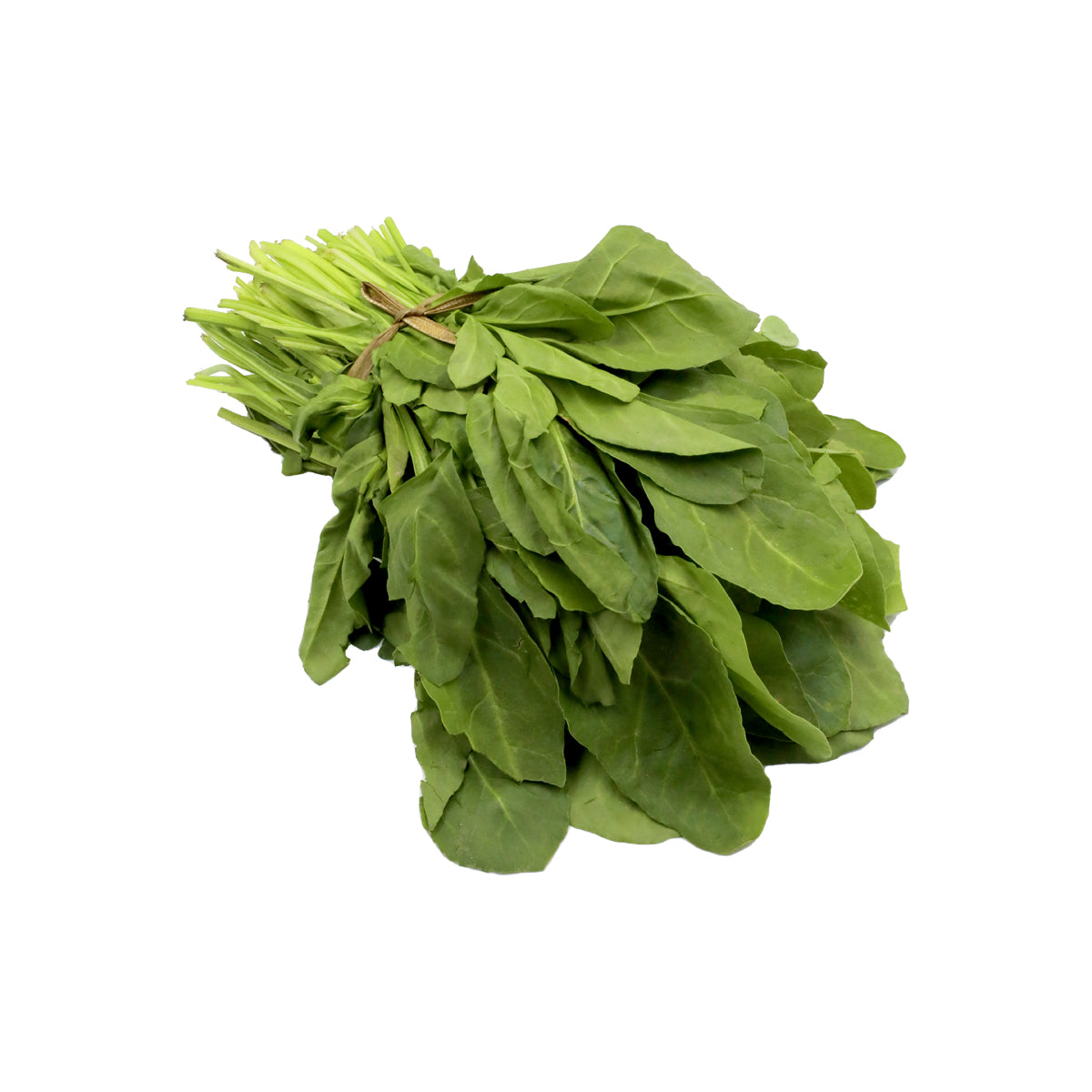 Pakistani Fresh Palak