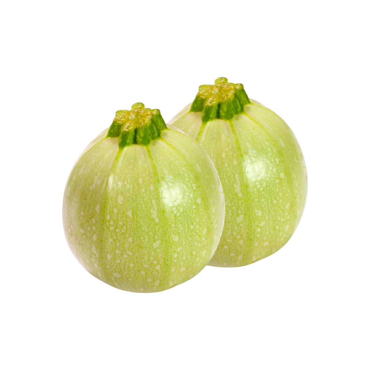 Pakistani Fresh Tindee