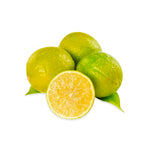 Pakistani Fresh Citrus Limetta (Shakri)