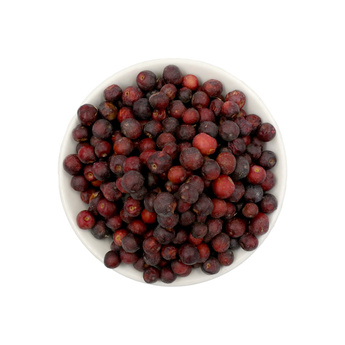 Pakistani Fresh Falsa (Grwia Asiatica)