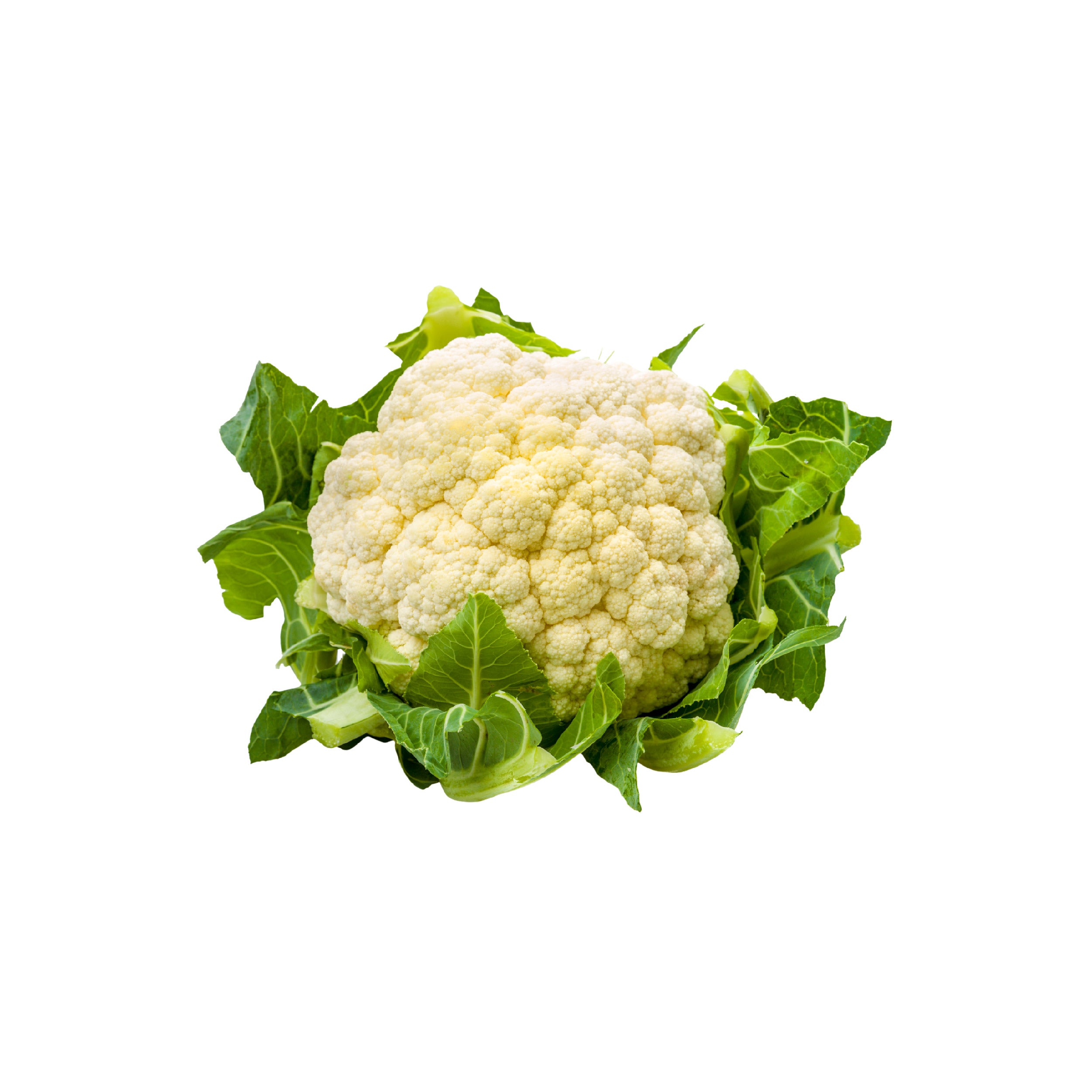 Buy Pakistani Fresh Cauliflower (Phool Ghobi) - Pakistan Supermarket UAE